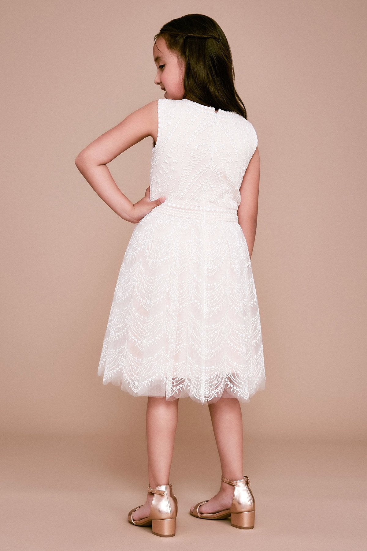 Tadashi Shoji - Atwoodita Embroidered Lace Dress