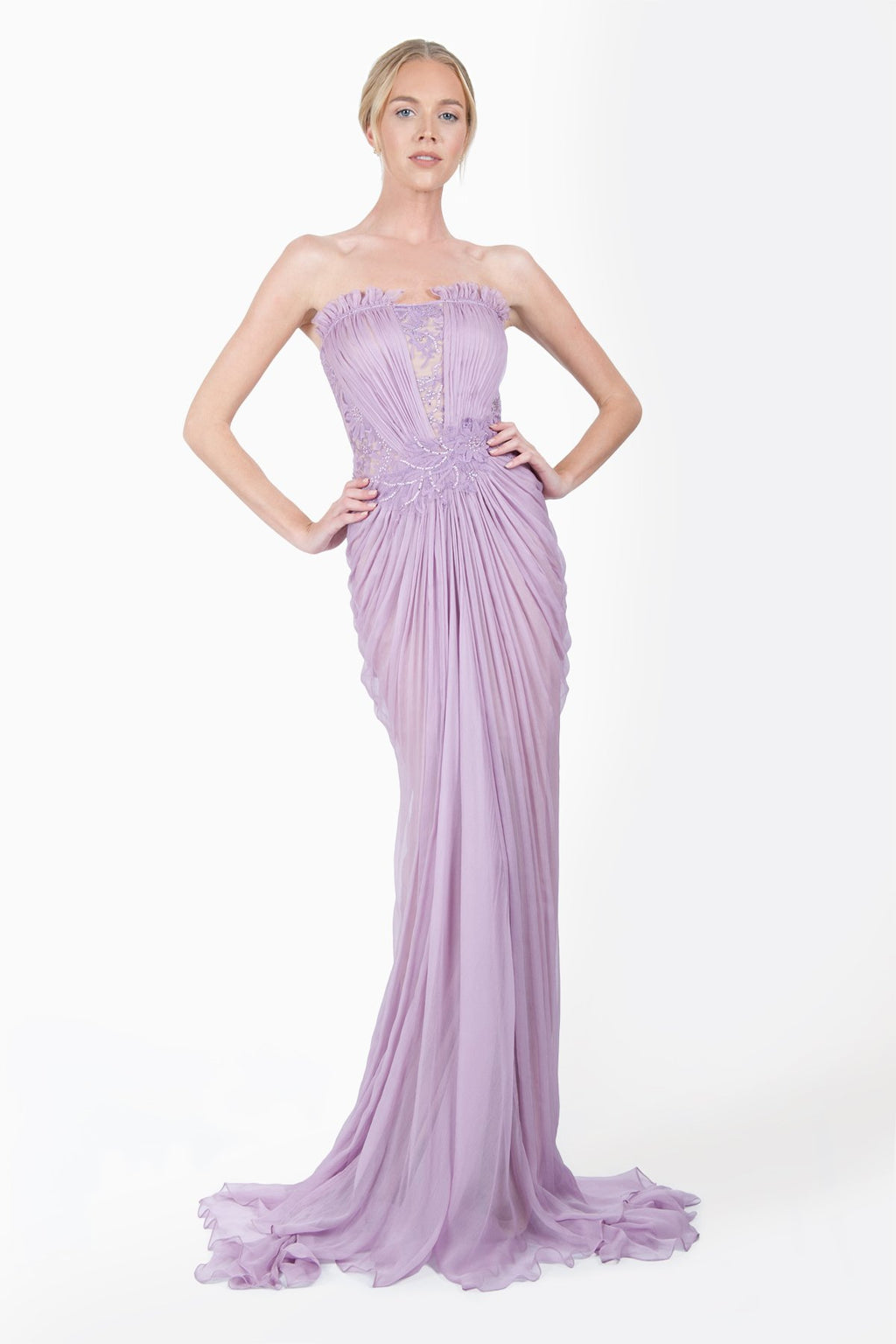 Embellished Lace and Chiffon Strapless Gown in Pale Iris