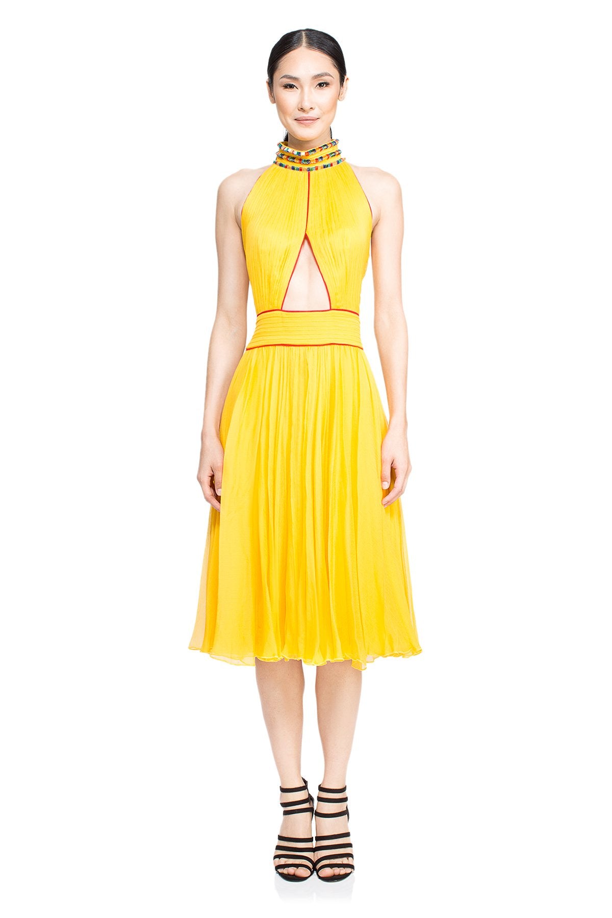 Tadashi Shoji - Nacala Dress 
