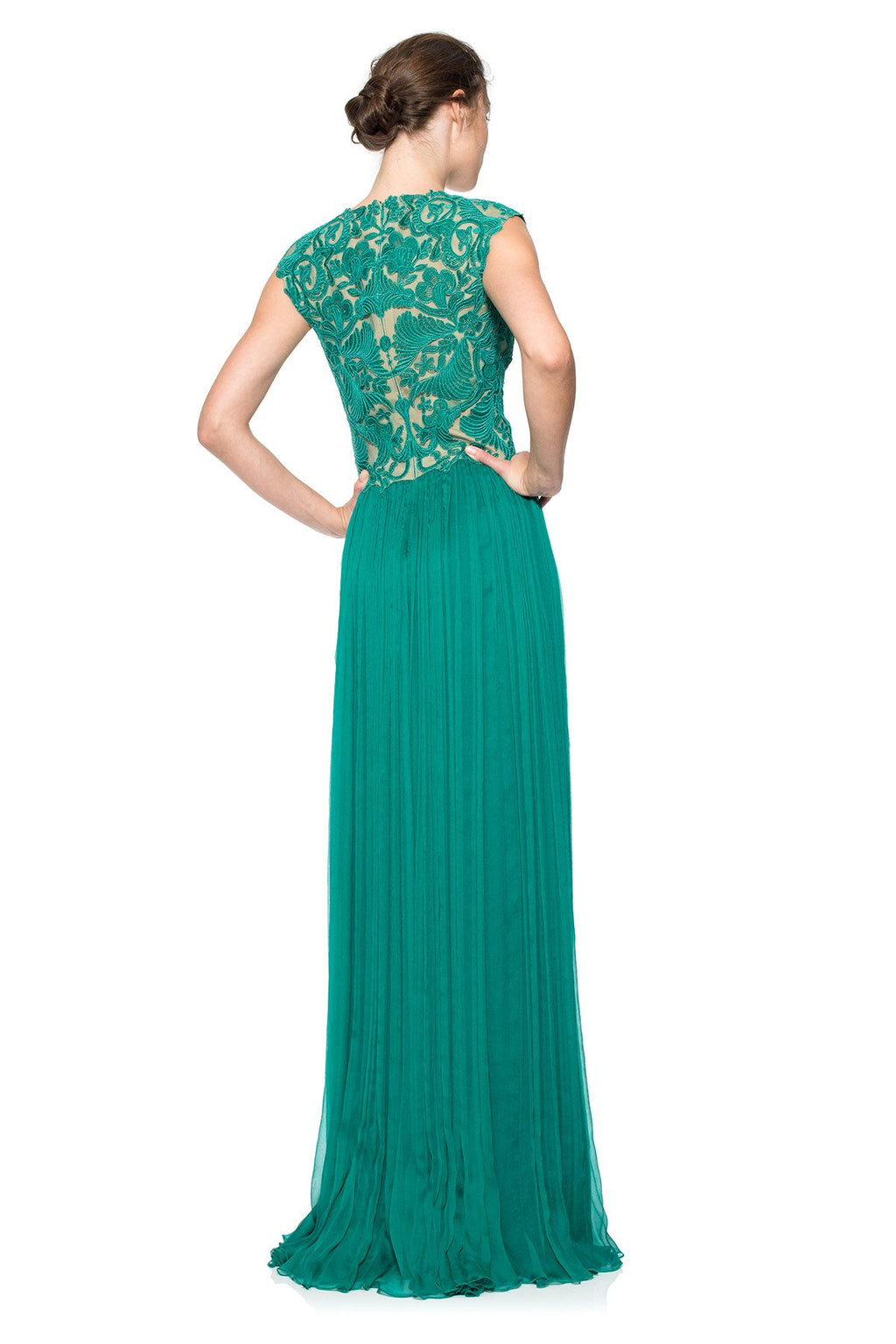 Corded Embroidery on Tulle Pleated Chiffon Gown