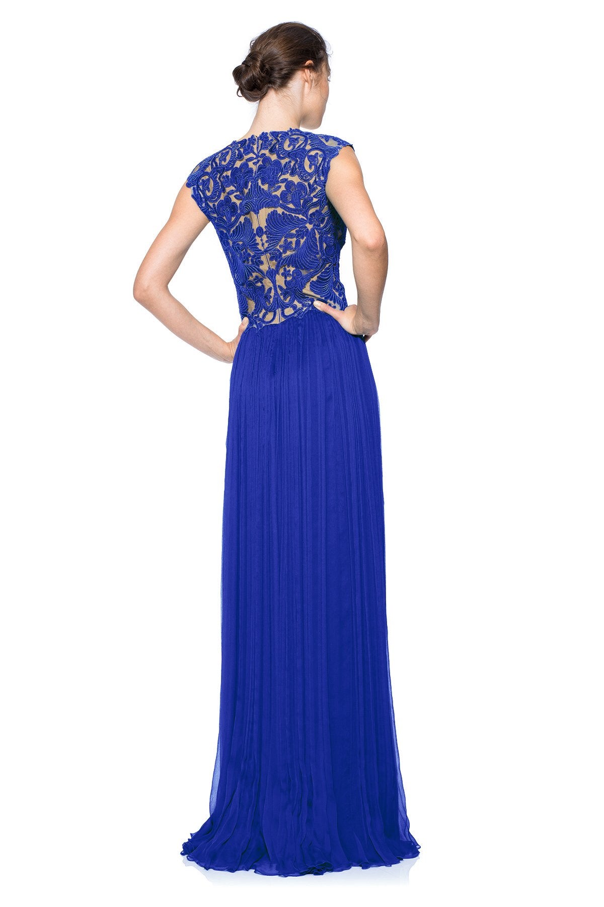 Corded Embroidery on Tulle Pleated Chiffon Gown