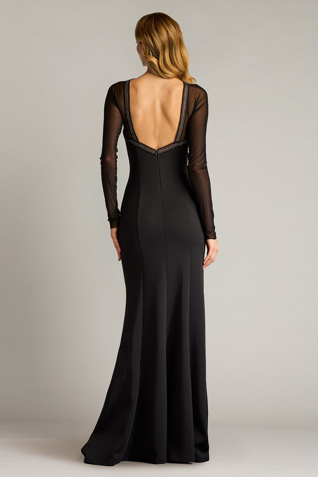 Savoy Sheer Sleeve Gown
