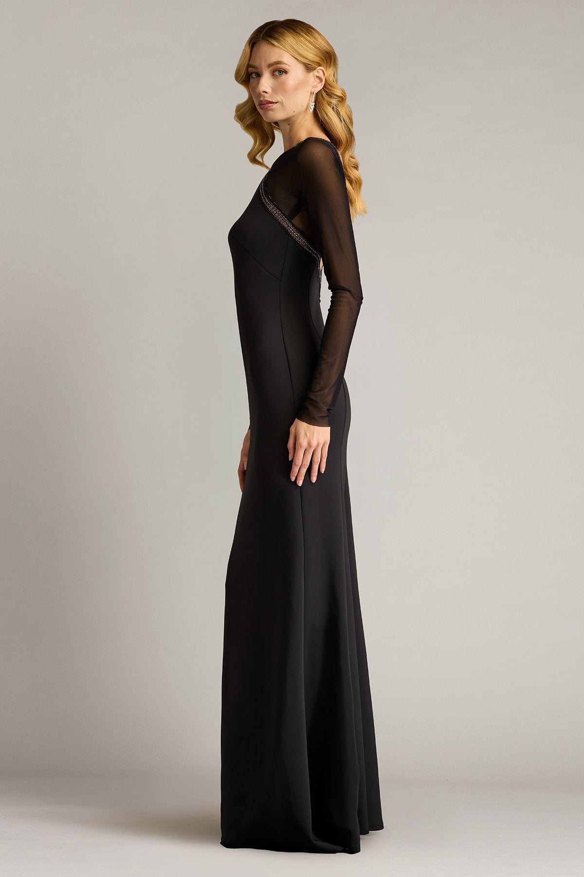 Savoy Sheer Sleeve Gown