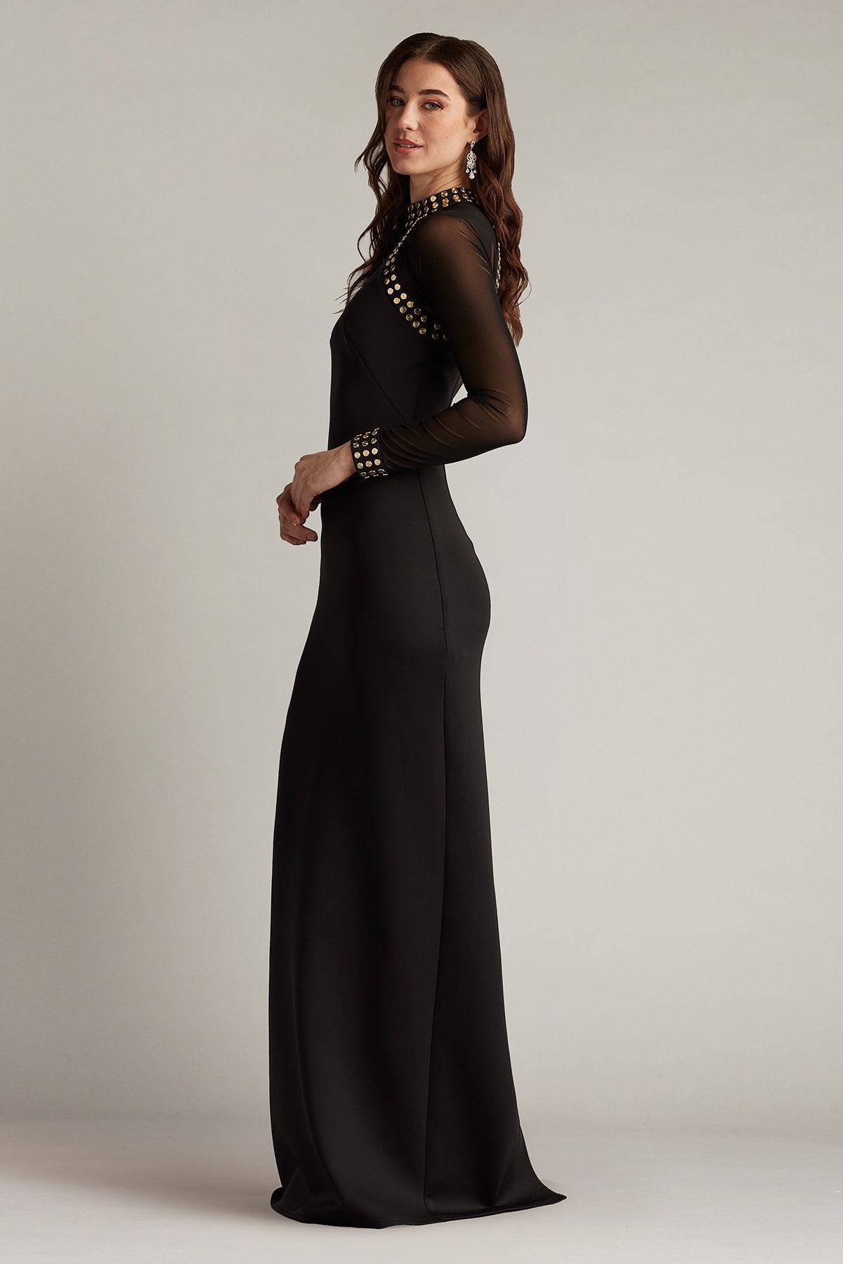 Roxbury Sheer Sleeve Gown