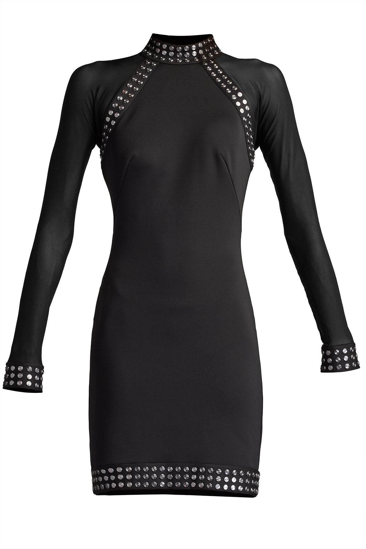Roxbury Sheer Sleeve Mini Dress
