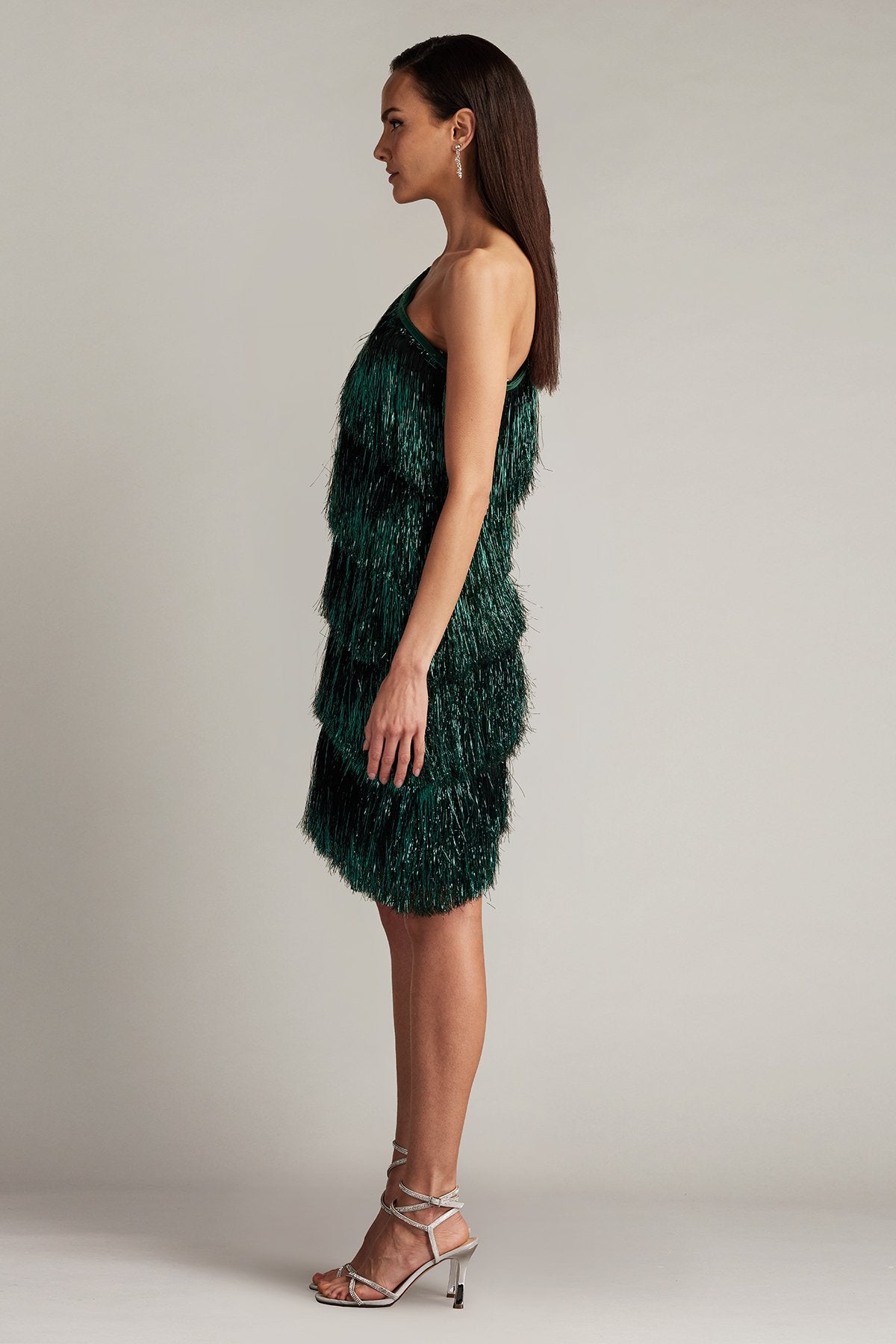 Sonny Metallic Fringe Mini Dress