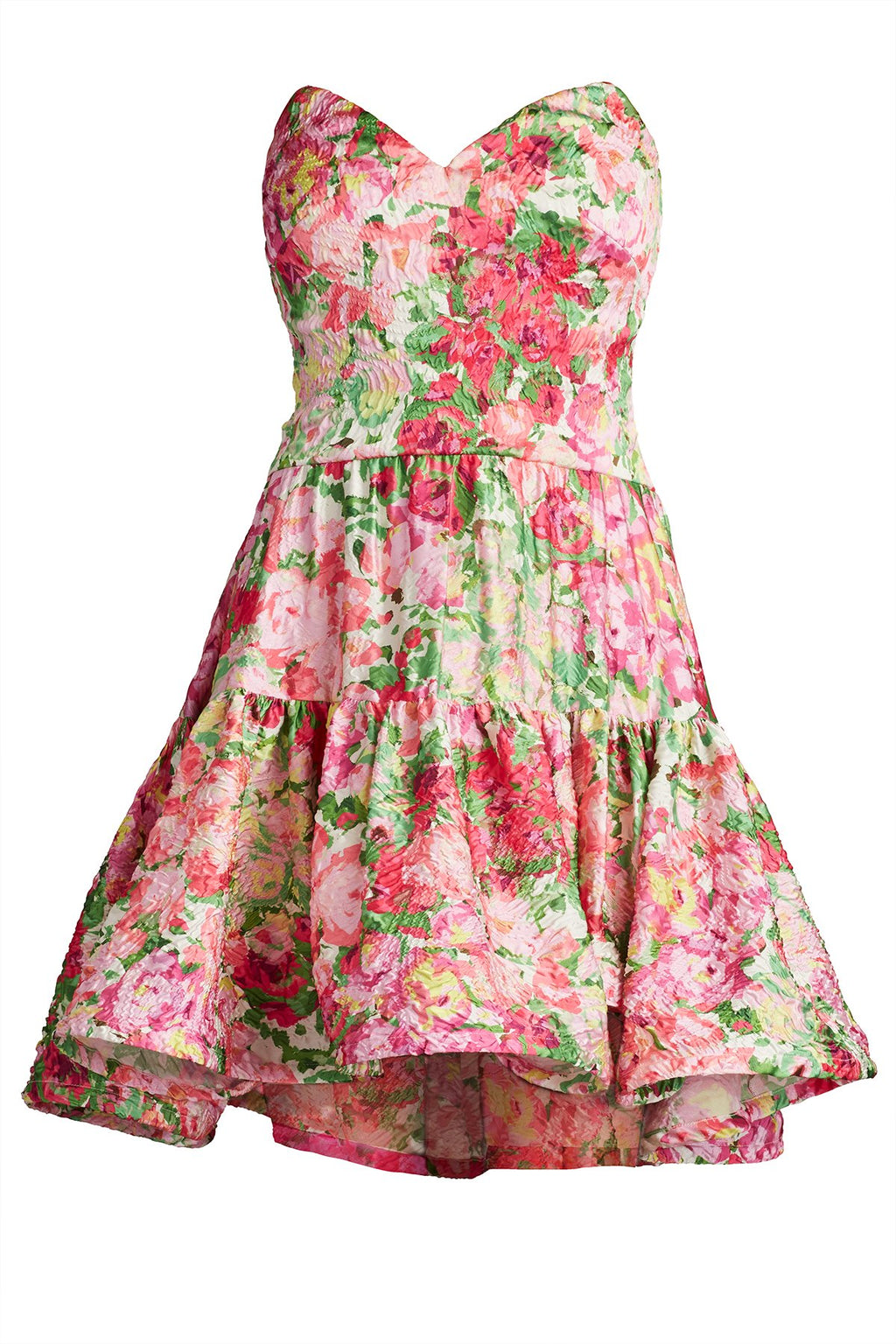 Scout Floral Print Mini Dress