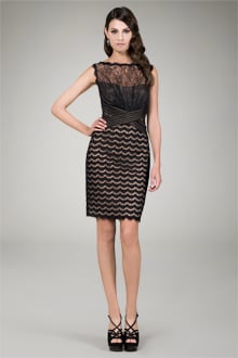 Lace Cocktail Dress in Black / Nude