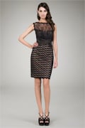 Lace Cocktail Dress in Black / Nude