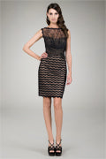 Lace Cocktail Dress in Black / Nude