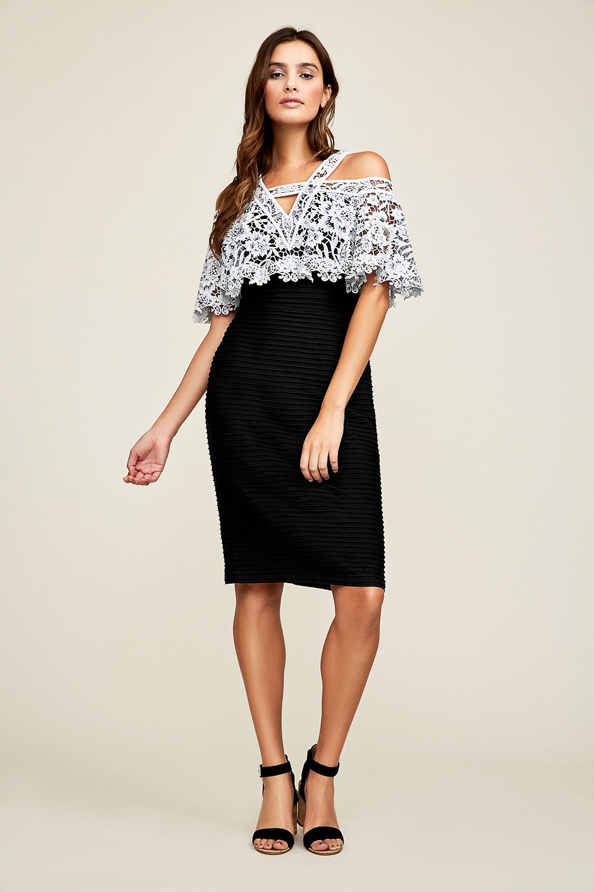 Belen Contrast Lace Peakaboo Dress Tadashi Shoji