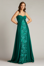 Monte Chiffon Overlay Embroidered Gown | Tadashi Shoji