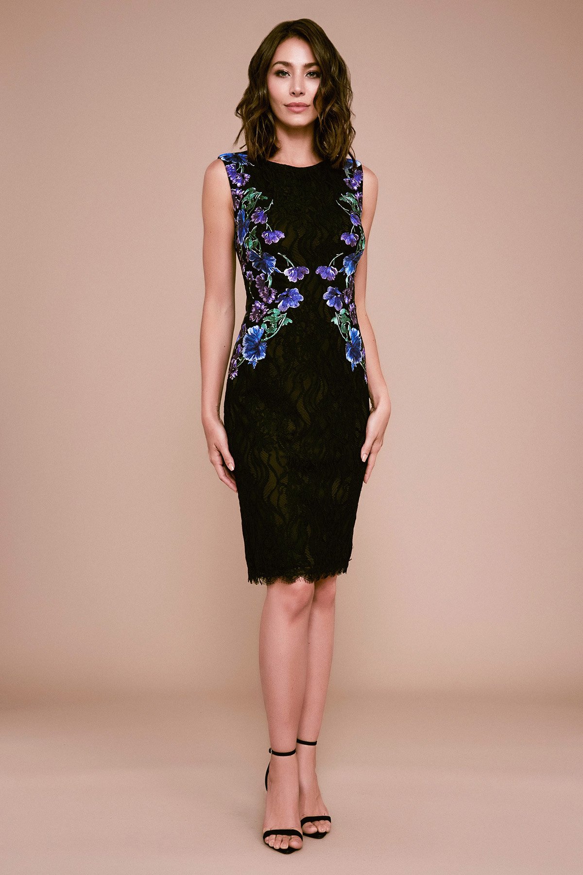 Tadashi shoji embroidered lace sheath dress top