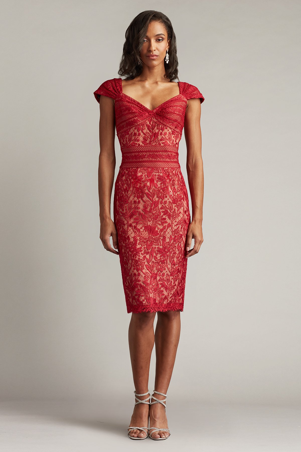 Meera Embroidered Lace Dress | Tadashi Shoji