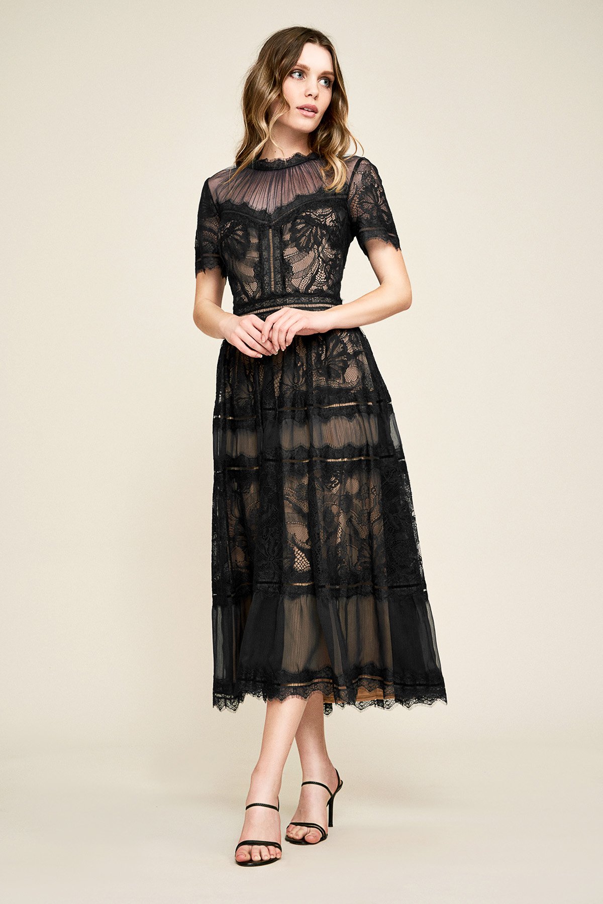 Camilla Tea Length Dress PETITE Tadashi Shoji