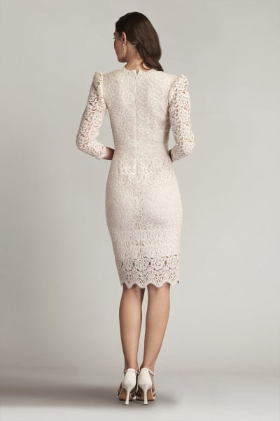 New Arrivals | Cocktail Dresses | Tadashi Shoji