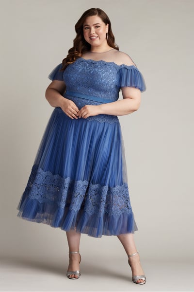 Elise Embroidered Pleated Tulle Midi Dress - PLUS SIZE